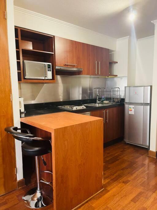 Estupendo Estudio…climatizado, Manuel Montt Apartamento